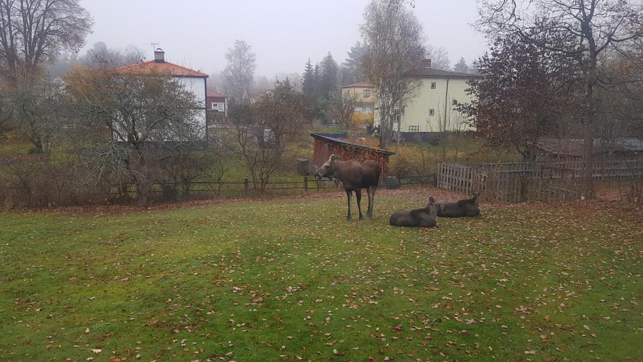 Trevligt hus med uteplats, Emmaboda kommun, Lindås Exteriör bild